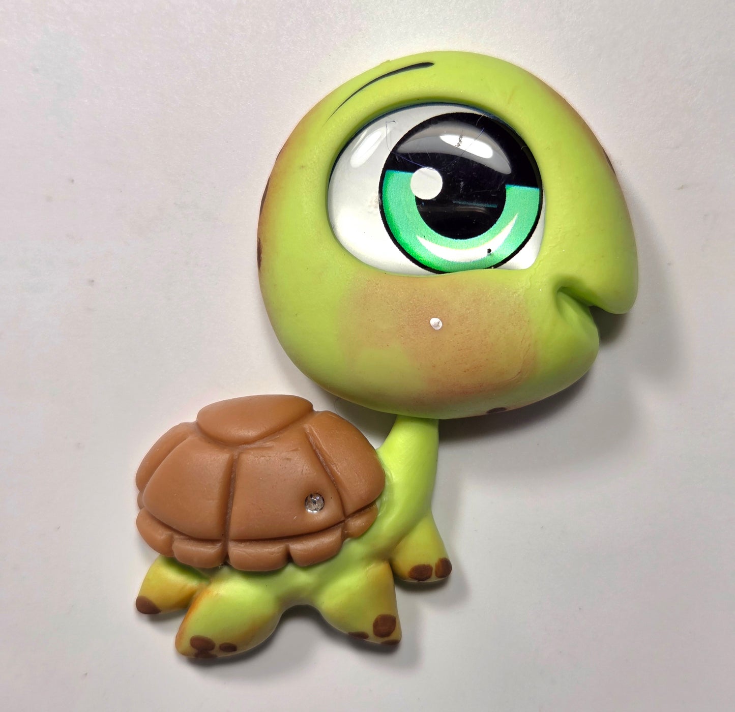 Green turtle