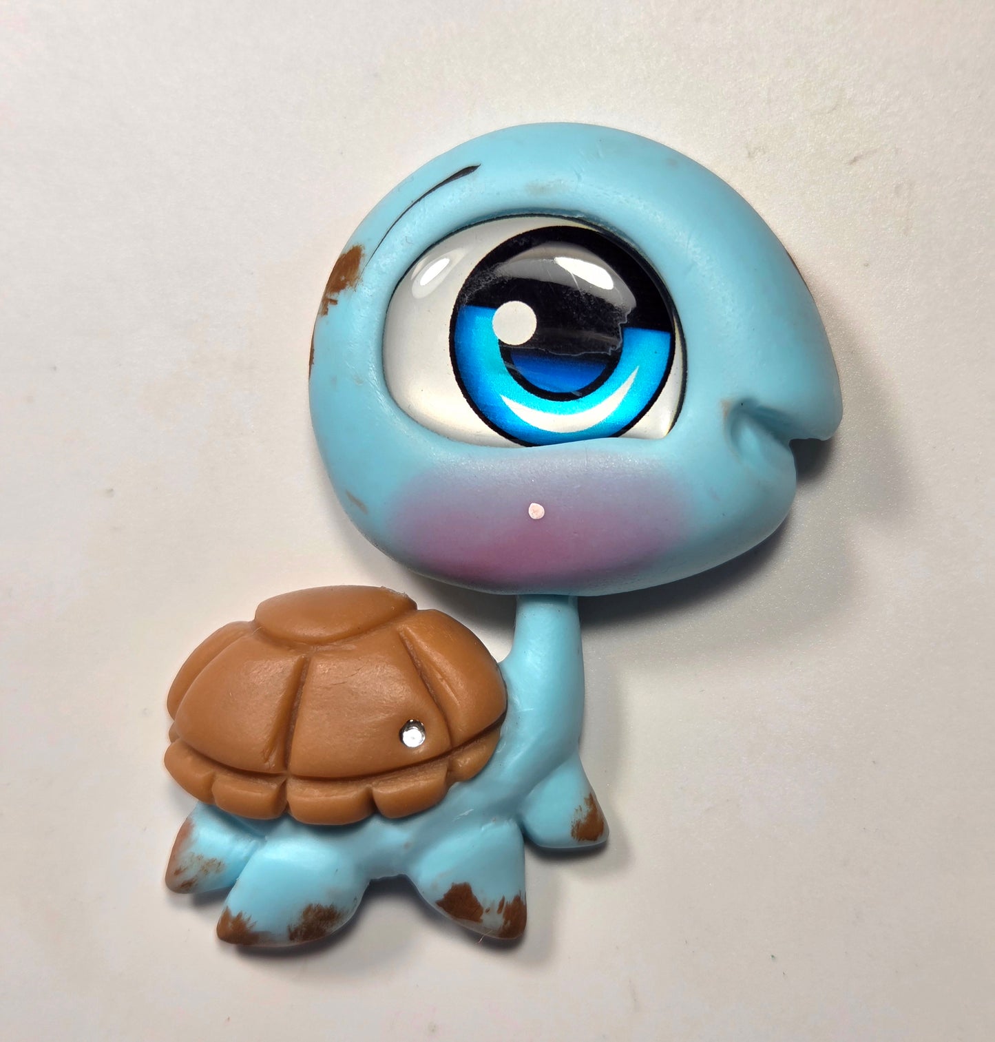 Blue turtle