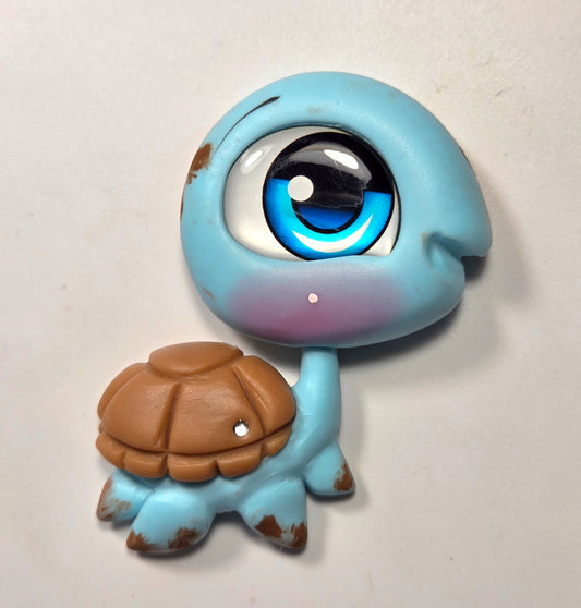 Blue turtle