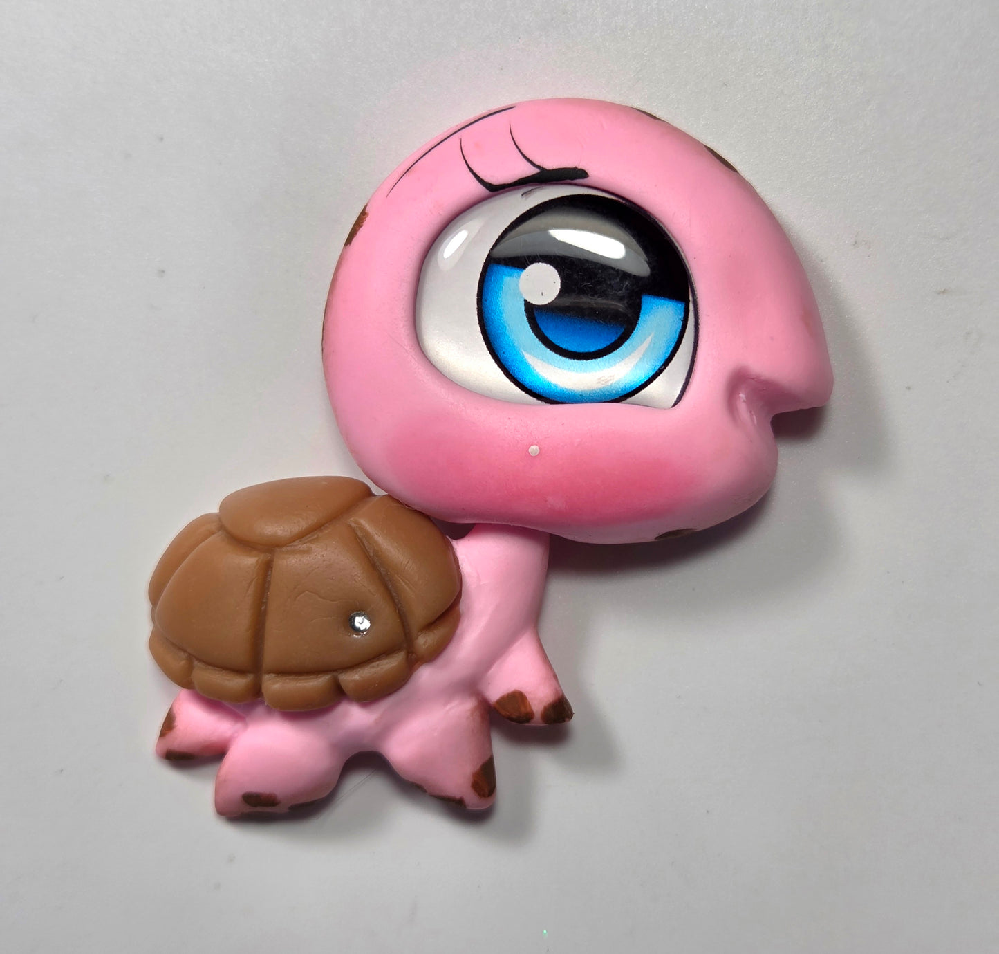 Light pink turtle