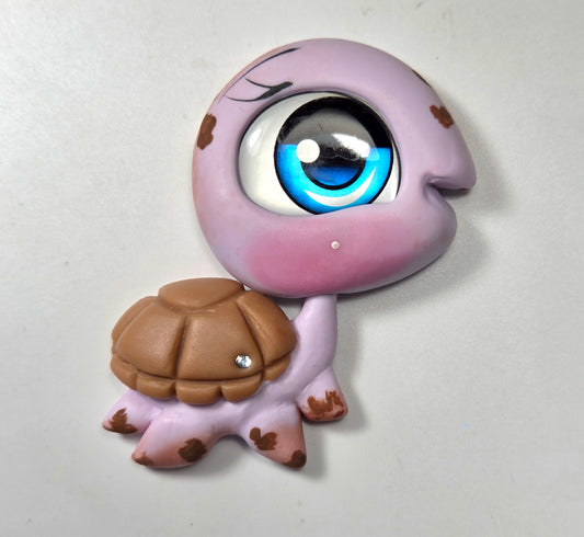 Purple turtle